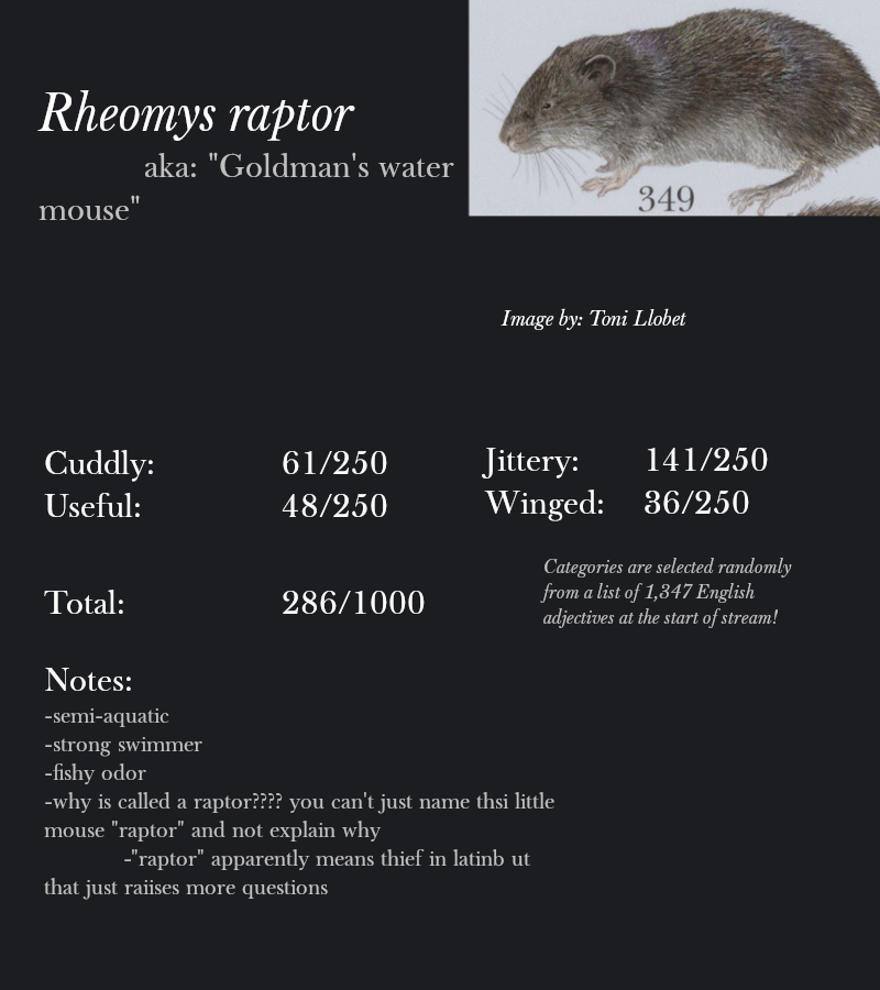 Rheomys raptor